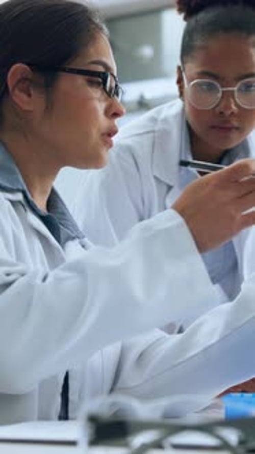 Women Scientists Collaborating on Research in a Lab