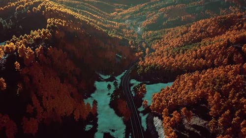 Uma vista aérea de uma estrada sinuosa através de uma floresta