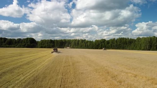 Aerial View a Harvester Machine to Harvest Wheat Field Working