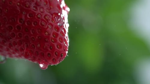 Slow motion water droplet plunges onto vibrant red strawberry fruit
