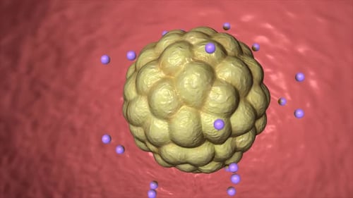 3D Animation of Cellular Interaction with Microscopic Particles