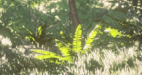 Sunlight Dances Through Lush Foliage in a Vibrant Forest Setting