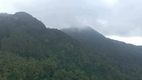 Aerial view of mountain range overgrown by dense trees of rainforest in misty morning.