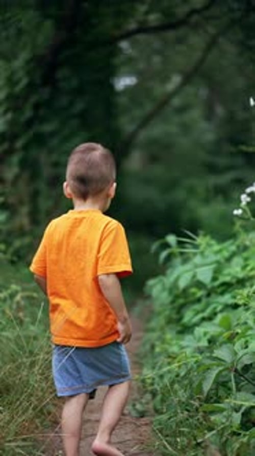 Child Walks Barefoot Along Wooded Path