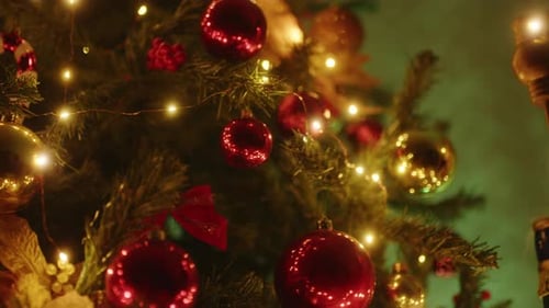 The Christmas Tree and the Nutcracker on the Side