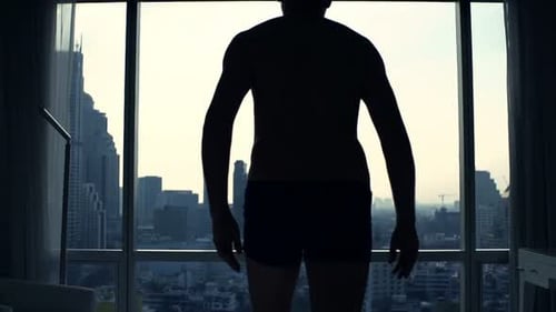 Man Silhouette Admiring City View