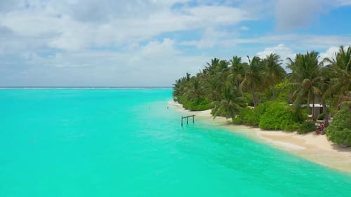 Aerial View on Bikini White Sand Beach with Turquoise Waters and Palms on Maldives Island Thoddoo