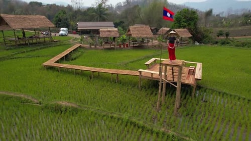 Rice Field in Luang Probang Laos