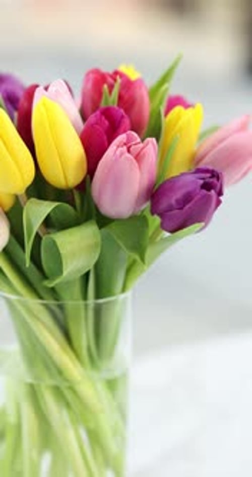 Colorful Tulip Bouquet in Glass Vase, Close Up