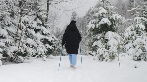 Traveler Middle Aged Woman Hikes in the Winter Snowy Mountains