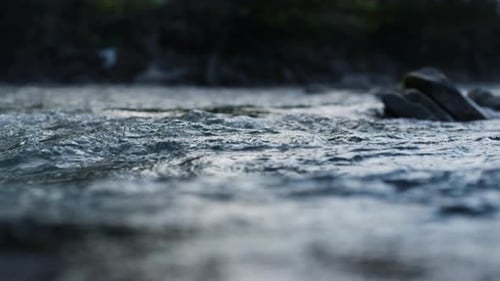Closeup Of Clean Water Flowing In Mountain River. Wild Stream Running In Carpathian Mountains. Ab...