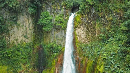Waterfall Del Toro Crashing Into Rocky Pool in Green Mossy Canyon in Costa Rica
