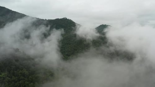 Aerial View of Misty Green Mountains Landscape