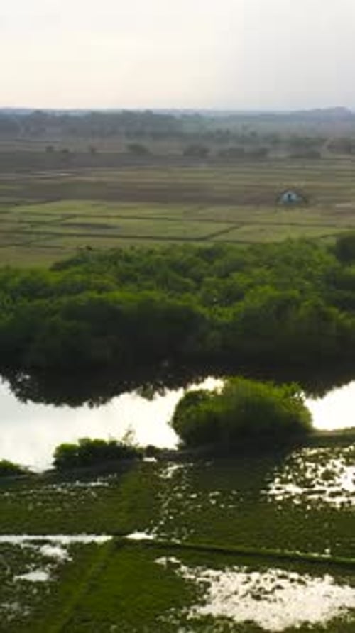 Vue d'en haut de la campagne au Sri Lanka