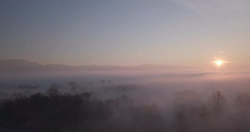 Fly Above Foggy Valley