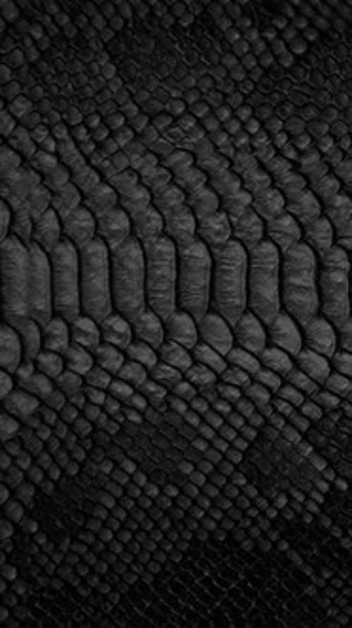texture de peau de serpent, gros plan, arrière-plan, vidéo verticale
