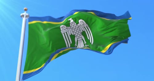 Realistic Waving Green Flag with Eagle Emblem
