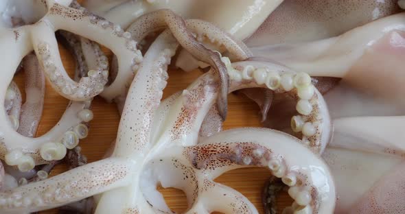Tentacles with suction cups and carcass of raw squid on a cutting board ...