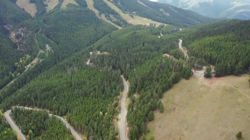 Aerial view of a beautiful curving road between pine trees, in the Rocky Mountains.