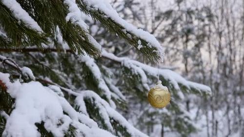 Golden Bauble Hanging on Snowy Pine Tree