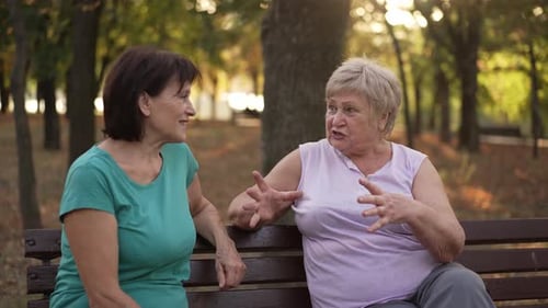 Two Women Talking in the Park