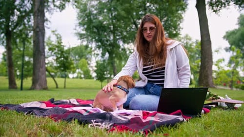 a small funny cute dog with its owner on a walk in the park a girl works at a computer a dog