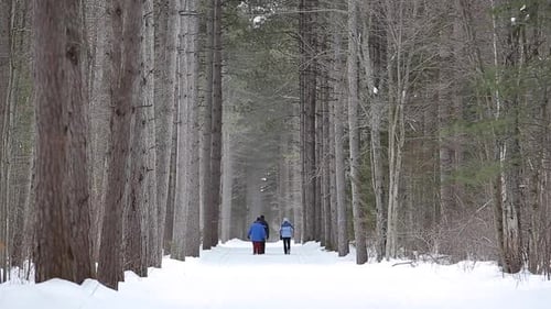 family walks down winter trail in the deep forest