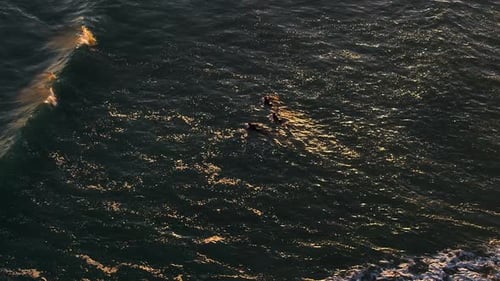 Drone aerial, surfers carve through golden waves as the sunset ignites the sea—shadows stretching, w