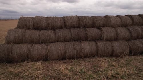 Along Old Straw Bales
