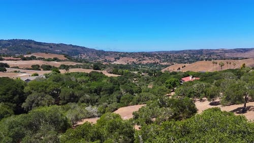Rolling Hills and Trees Under Clear Sky in Rural Salinas Valley, California, United States