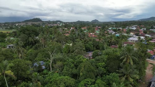 Aerial fly over green lush tree near malays village at bukit mertajam