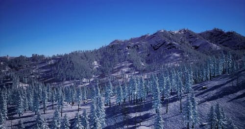 Aerial View of Snowy Mountain Winter Forest Landscape