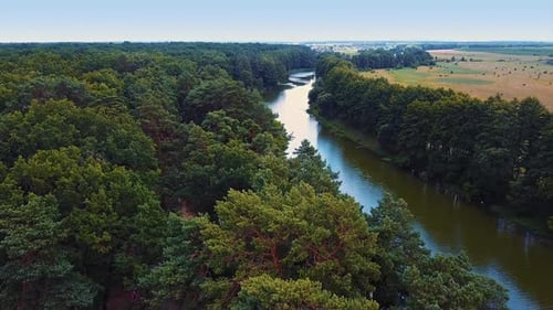 Splendid view of the river flowing in the forest. Narrow river at the farmlands.