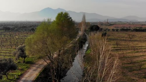 drone view of tree-lined road between farmland