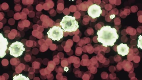 Microscopic Cells Flowing Animation for Medical and Science Projects