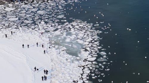 Aerial view of Baltic Sea ice floes, Poland.