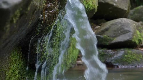 Small Waterfall Flowing Over Mossy Rocks in Forest