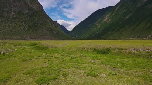 Green Field Against the Backdrop of Mountains