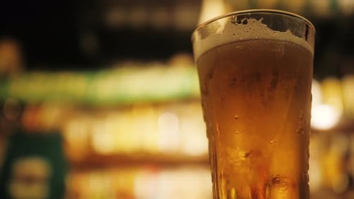 Glass of Light Lager Beer on a Dark Pub