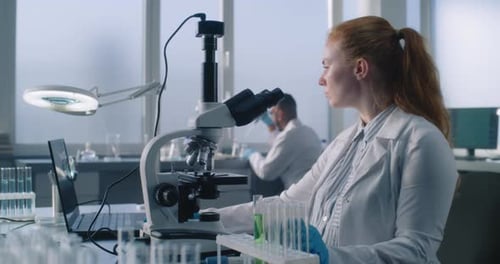 Scientist Works with Microscope in Bright Lab
