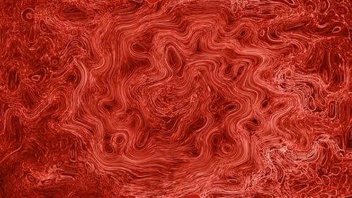 Liquid Background Animation. 370