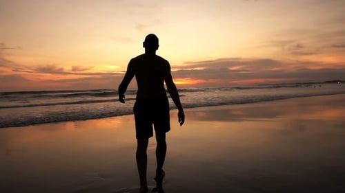 Silhouette of Man Walking on Beach During Sunset, Super 240