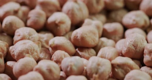 Pile of Fresh Chickpeas Close Up