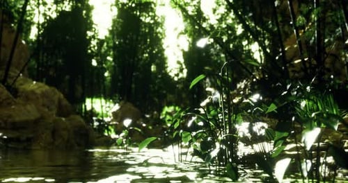 Lush Green Forest with Tranquil Water Reflecting Sunlight at Midday