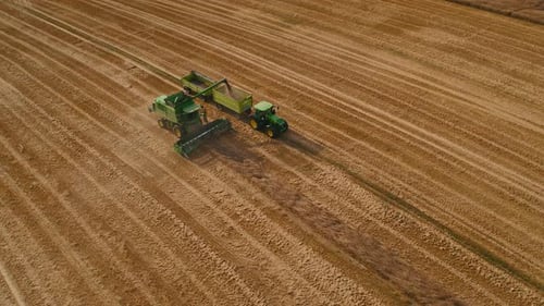 Tractor and combine harvester transferring crops in a wide wheat field under a clear blue sky.