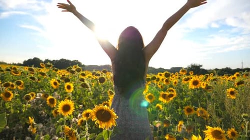 Young Inspired Girl with Raised Hands Standing Among Field with Blooming Sunflowers