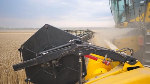 Close Up Knife of Combine Spinning and Cutting Ears of Wheat Harvester Slowly Riding Through Field