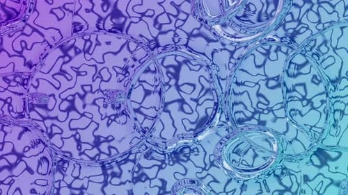 Abstract Liquid Bubbles Background Loop with Gradient Colors