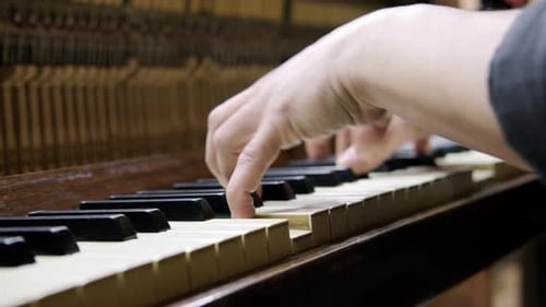 Hands Play the Piano Keys Close Up