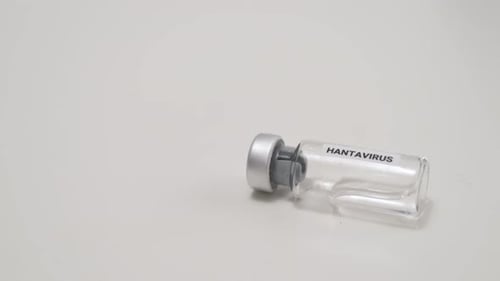 Hantavirus vaccine vial for immunization treatment